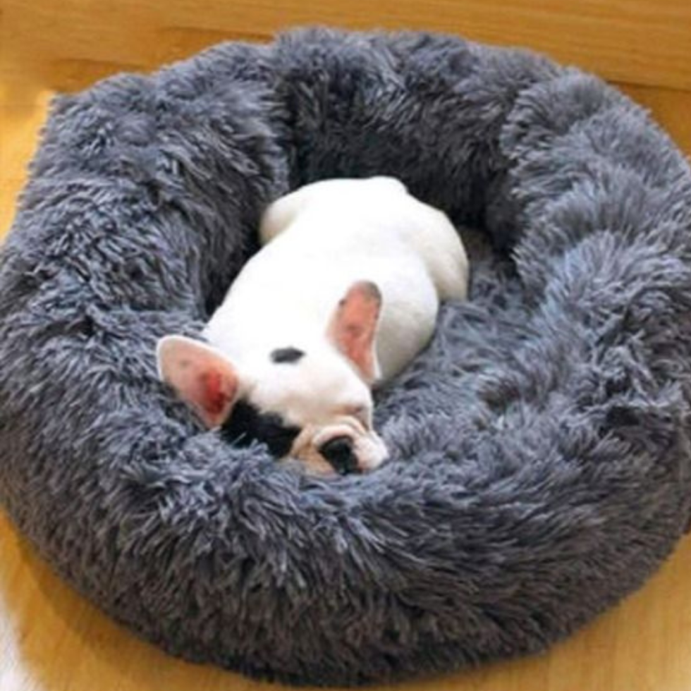 Cama De Mascota Anti Estrés Pet Relief Premium