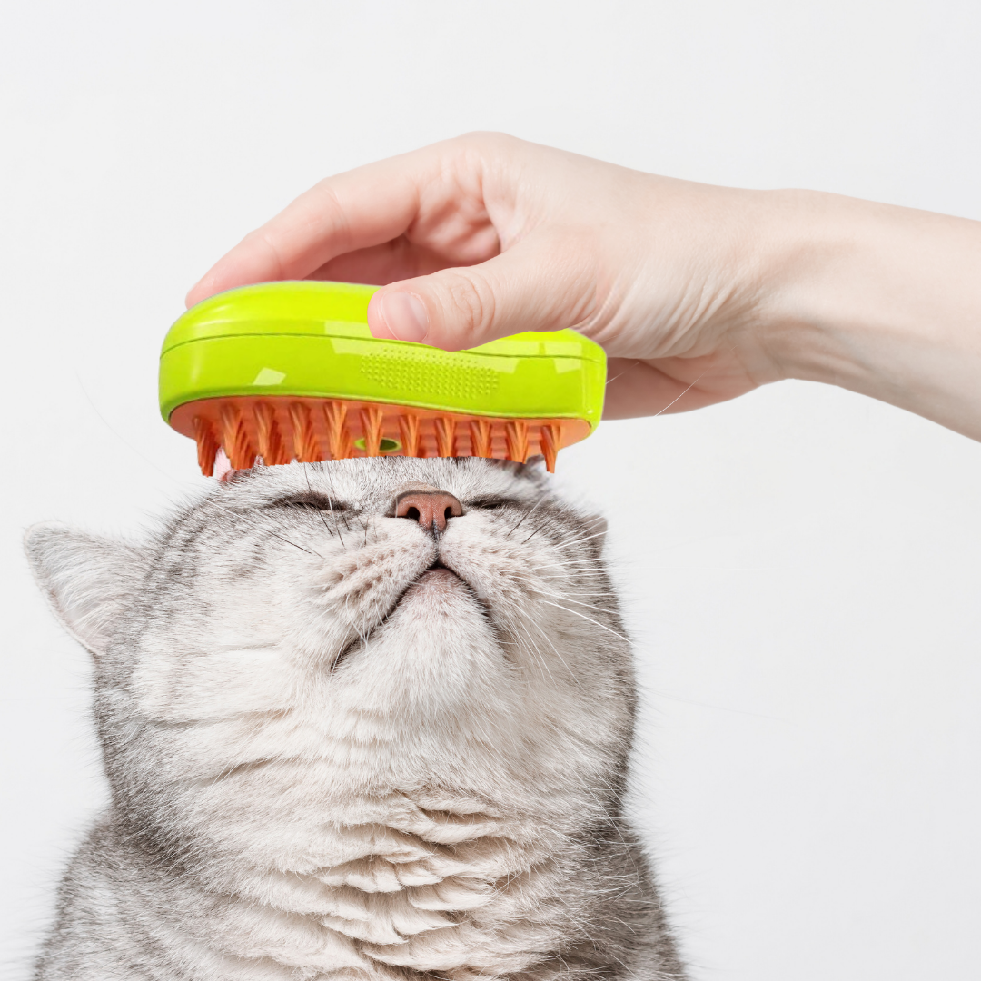 Cepillo humidificador para mascota recargable