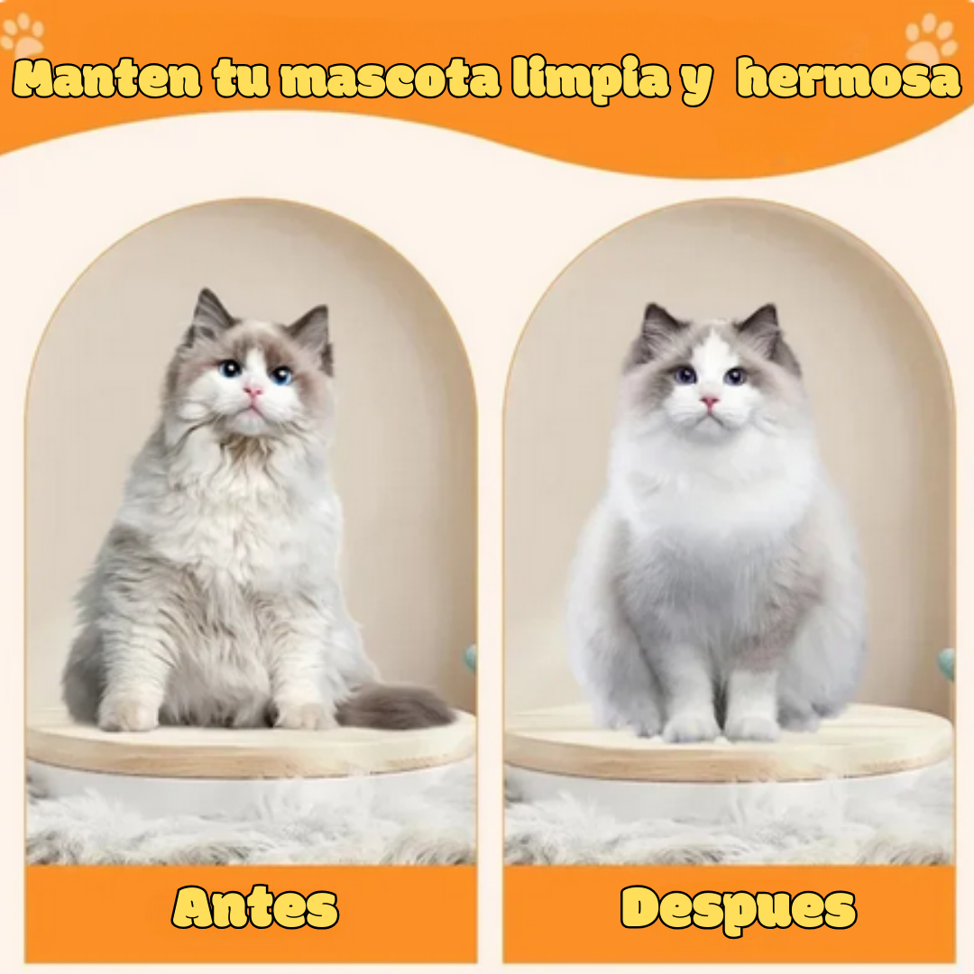 Cepillo humidificador para mascota recargable