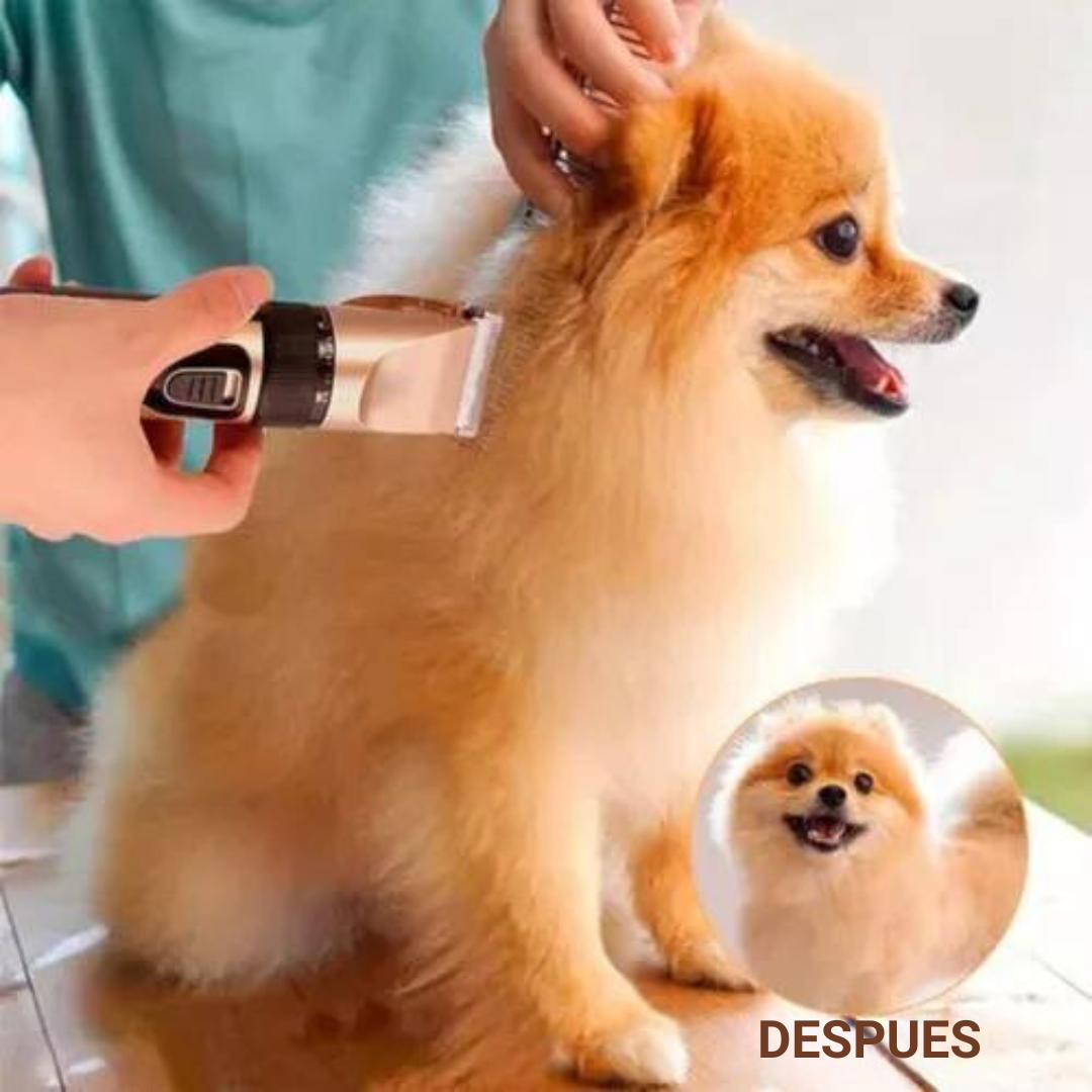 PetStyle Maquina corta pelo para mascota + kit