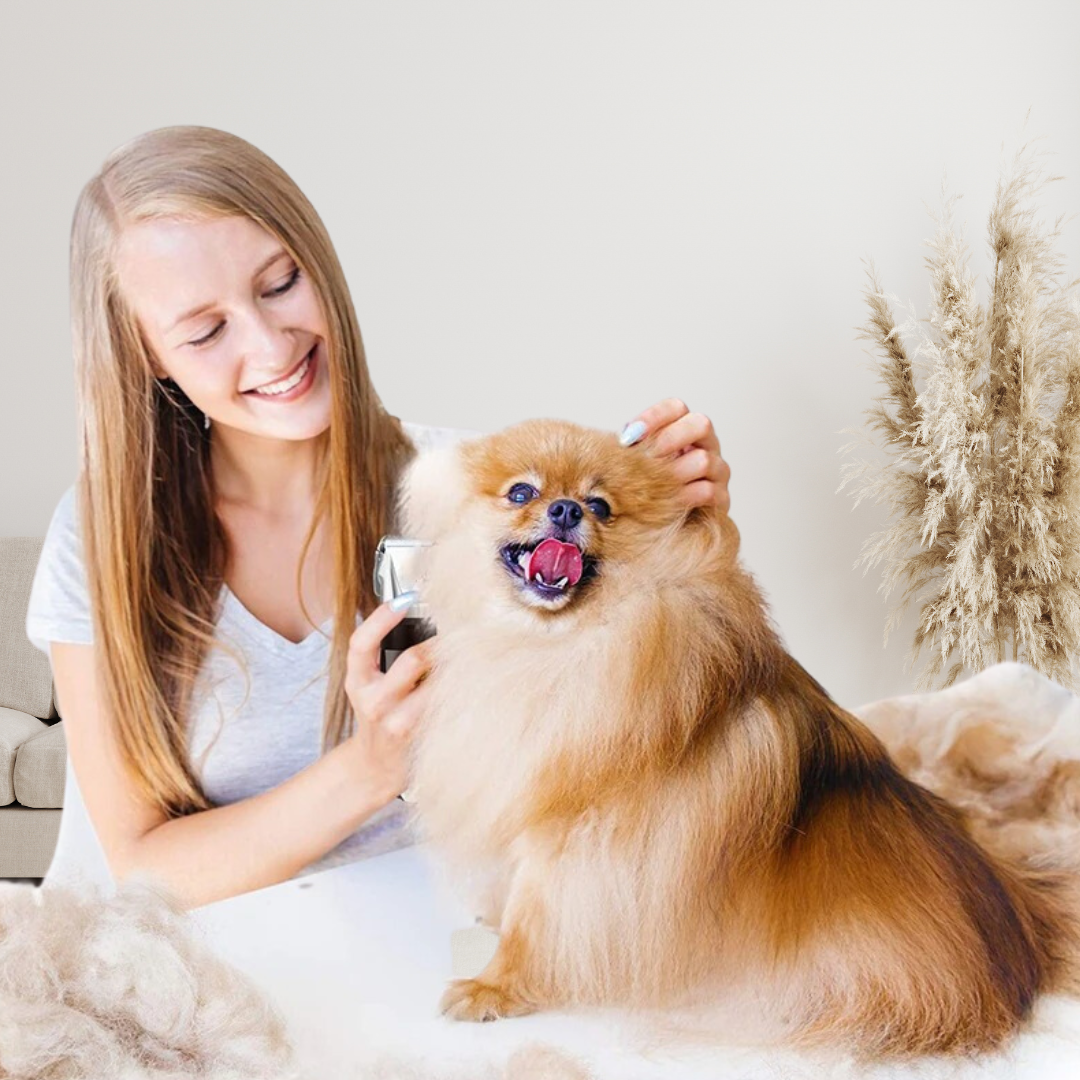 PetStyle Maquina corta pelo para mascota + kit